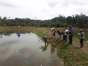 Imagem da notícia - Idam capacita produtores rurais para atividade de piscicultura