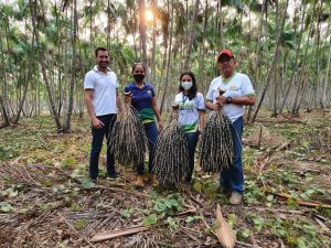 Imagem da notícia - ‘IDAM MAIS AGRO’ EM MOVIMENTO*