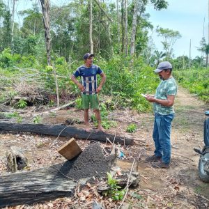Imagem da notícia - Idam realiza ação e atende 30 famílias de produtores rurais em Boa Vista do Ramos