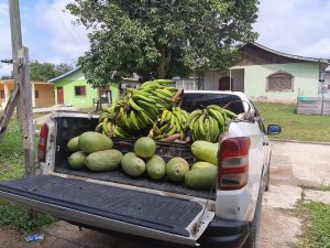 Imagem da notícia - Idam continua entregas de produtos pelo PAA em Atalaia do Norte