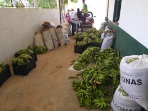 Imagem da notícia - Idam acompanha a entrega da primeira remessa de alimentos ao PAA em Benjamin Constant