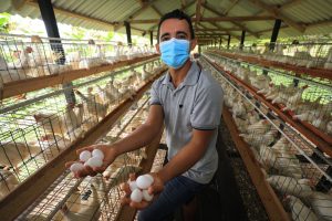 Imagem da notícia - Cartão do produtor estimula crescimento do setor primário no Amazonas