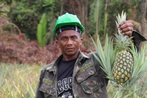 Imagem da notícia - Idam apoia produtores na entrega de 16 toneladas de alimentos orgânicos em Careiro da Várzea