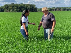 Imagem da notícia - Cooperativismo e associativismo rural são tema de capacitação virtual do Idam
