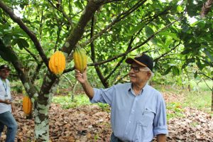 Imagem da notícia - Idam realiza visita técnica para estudo de práticas agroambientais sustentáveis