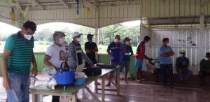 Imagem da notícia - Idam realiza ação de fomento de juta em Anamã e Anori