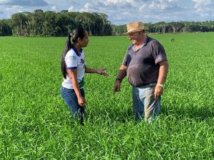 Imagem da notícia - Extensionistas do Idam promovem desenvolvimento no setor rural amazonense
