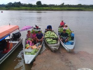 Imagem da notícia - Idam realiza última entrega do PAA em Itapiranga