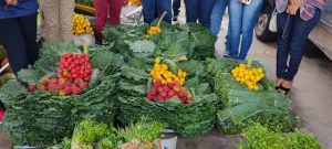 Imagem da notícia - Idam auxilia produtores familiares de Coari na entrega de mais de 1,8 tonelada de alimentos para o PAA