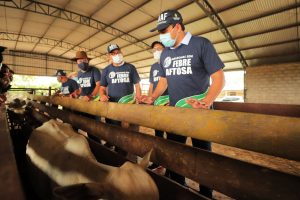Imagem da notícia - Wilson Lima inicia Campanha Amazonas sem Febre Aftosa, nesta segunda-feira (15/03)