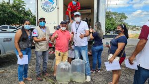 Imagem da notícia - Governo do Amazonas entrega 44 mil alevinos de tambaqui a piscicultores da zona rural de Manaus