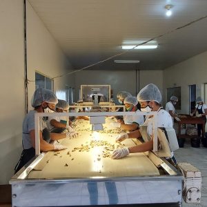 Imagem da notícia - Idam incentiva produção agrícola e florestal de cooperativa e associações de Lábrea