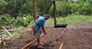 Imagem da notícia - Idam realiza instalação de viveiro de cacau para a produção de mudas em Coari