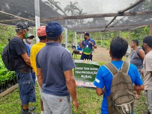 Imagem da notícia - Idam realiza demonstrações de métodos de plantio de açaí para famílias do município de Benjamin Constant
