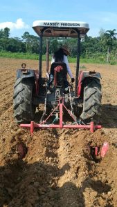 Imagem da notícia - Em Uarini, Idam capacita produtores de farinha para cultivo mecanizado de mandioca