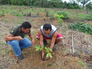 Imagem da notícia - Relatório de Jayme Campos sobre incentivos à extensão rural é aprovado e segue à Câmara