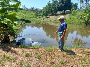 Imagem da notícia - Governo do Estado realiza entrega de 50 mil alevinos a produtores familiares de Benjamin Constant