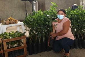 Imagem da notícia - Governador Wilson Lima entrega 4,6 mil mudas e fomento de R$ 150 mil para agricultura familiar em Careiro da Várzea