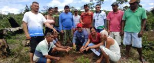 Imagem da notícia - Em Novo Airão, Idam realiza entrega 1.400 mudas de castanha-do-Brasil a agricultores familiares