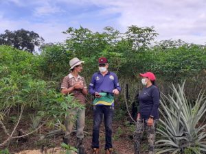 Imagem da notícia - Em parceria com Prefeitura de Ipixuna, Idam inicia visitas de Assistência Técnica e inscrições no Garantia Safra