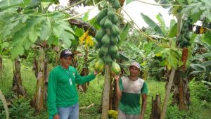 Imagem da notícia - Em Ipixuna, Idam realiza entrega de kits de agricultura familiar e renovação de CPP e DAP