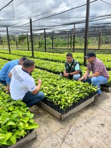 Imagem da notícia - Idam garante apoio à implantação da cafeicultura em Presidente Figueiredo