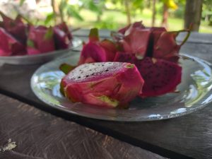 Imagem da notícia - Idam busca alavancar a cultura de pitaya no Amazonas em parceria com maior agricultor da fruta no estado