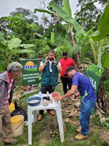 Imagem da notícia - Unidade Demonstrativa de Açaí em Benjamin Constant permite capacitação em boas práticas de plantio