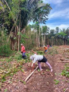 Imagem da notícia - Idam dá continuidade à implantação de Unidade Agroecológica de Pesquisa em Careiro da Várzea