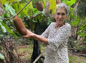Imagem da notícia - Idam completa 27 anos neste sábado e celebra as conquistas dos produtores rurais do Amazonas