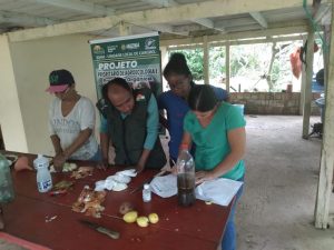 Imagem da notícia - Em Careiro, Idam realiza Demonstração de Método sobre biofertilizantes e defensivos naturais
