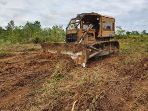 Imagem da notícia - Em Silves, Idam incentiva busca de fomento com ação de assessoria técnica em crédito rural