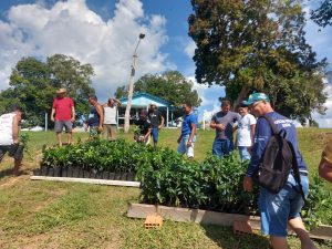 Imagem da notícia - Em Boa Vista do Ramos, Idam realiza distribuição de 600 mudas de citros