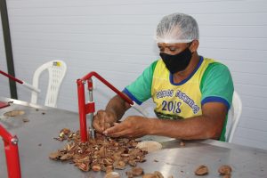 Imagem da notícia - Apoio ao cooperativismo, associativismo e às agroindústrias foi priorizado pelo Idam em 2023