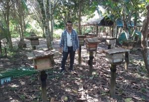 Imagem da notícia - Em Boa Vista do Ramos, Idam garante R$ 25 mil a meliponicultura via Pronaf Digital