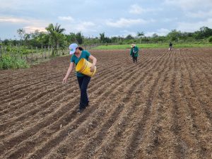 Imagem da notícia - Idam destaca protagonismo de mais de 18 mil mulheres no setor primário amazonense
