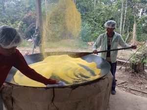 Imagem da notícia - Farinha de Uarini é declarada Patrimônio Cultural do Amazonas e Idam destaca título