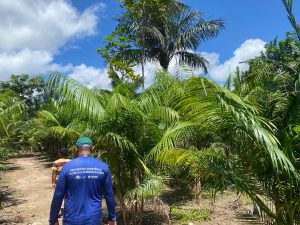 Imagem da notícia - Regularização e crédito rural:  Idam leva serviços a 80 agricultores familiares e indígenas de Amaturá