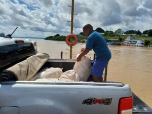 Imagem da notícia - Idam inicia entrega de 400 mil sementes de cacau a 20 municípios amazonenses
