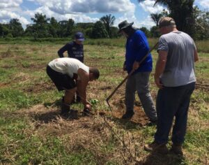Imagem da notícia - Em Iranduba, Idam implementa duas Unidades de Observação de citros