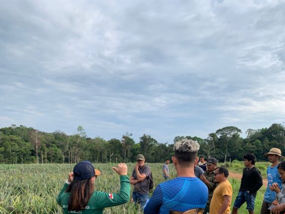 Em Novo Remanso, Idam oferece capacitação em Boas Práticas Agrícolas da Cultura do Abacaxi