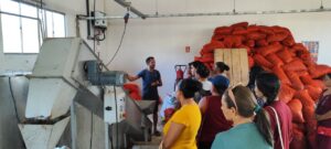 Imagem da notícia - Em Carauari, “Boas Práticas na Extração de Óleo de Andiroba” é tema de curso realizado pelo Idam