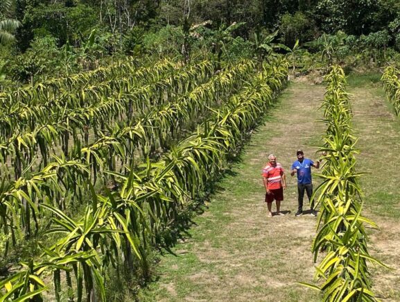Idam realiza mutirão de visitas técnicas na zona rural de Manaus