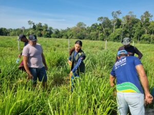 Imagem da notícia - Idam leva capacitação em Boas Práticas no Manejo de Pastagem a produtores rurais de Novo Remanso