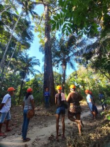 Imagem da notícia - Idam já capacitou 272 extrativistas como parte do projeto Paisagens Sustentáveis da Amazônia em 2025