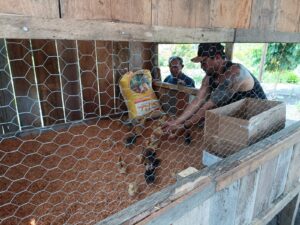 Imagem da notícia - Indígenas de São Gabriel da Cachoeira recebem apoio do Idam para o desenvolvimento da avicultura, com palestras e a doação de 200 animais