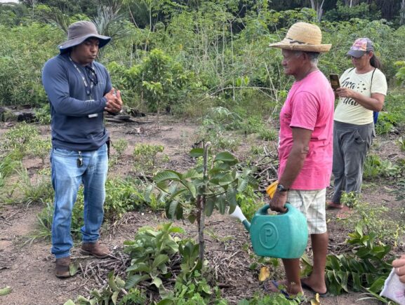 Em Autazes, Idam faz treinamento de poda de frutíferas e cultivo de hortaliças