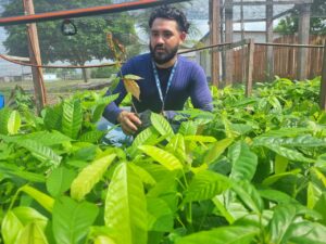 Imagem da notícia - Em Boa Vista do Ramos, Idam atua na produção de mudas de cacau e açaí para a doação a agricultoras familiares