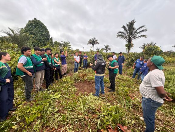 Idam realiza capacitação em boas práticas na cultura do guaraná, em Coari