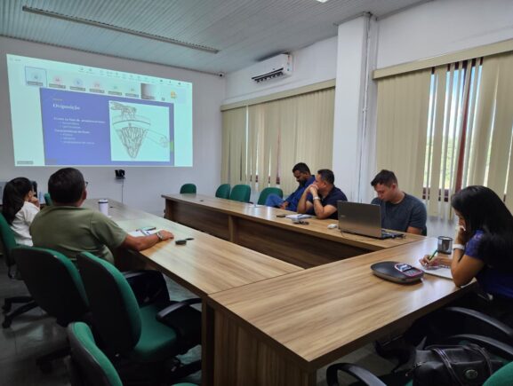 Idam e Adaf capacitam extensionistas para enfrentamento da mosca-da-carambola